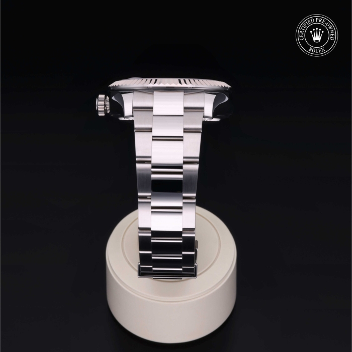 SKY-DWELLER - Image 5